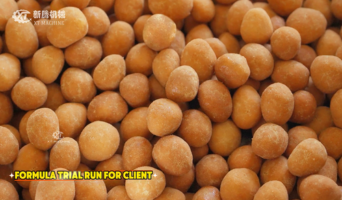 Automatic Coating & Frying Production Line | Finished Coated Fried Peanut