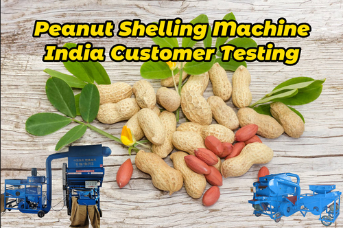 Latest company news about How to removing the peanut Shell?---Peanut Shelling Machine