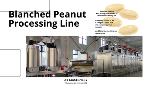 Latest company news about 5 tips to choose our Blanched Peanut Processing Line