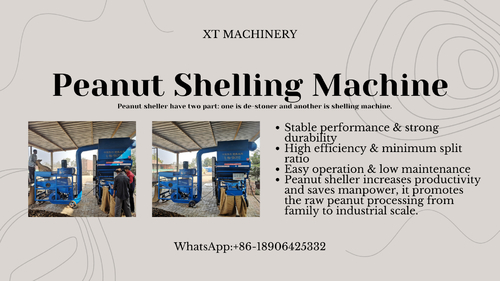 Latest company news about Peanut Shelling Machine Introduction