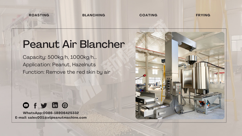 Latest company news about Peanut Air Blanching Machine --A new choice for peanut blanching industry