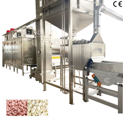 Good price High Blanching Rate Roasted Peanut Blanching Processing Plant with 98% Blanching Rate online