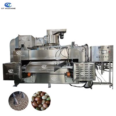 Good price Coated Peanut Roaster with 50kg/h Capacity for Coated Nuts/Cashew Nut/Horse Beans/Almonds/Hazelnut Pistachios online