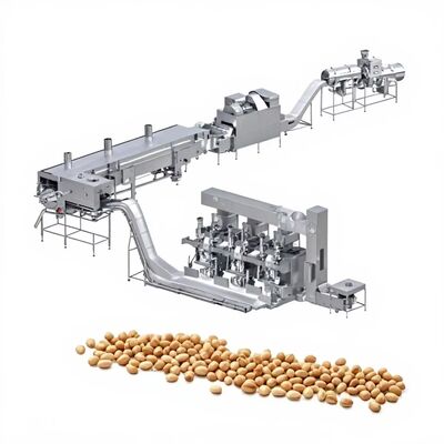 Good price 1000kg/h Capacity PLC Control Stainless Steel Peanut Frying Machine for Coated Peanut Processing Plant online