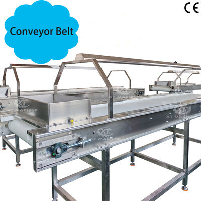 Good price Food Grade Adjustable Speed SUS304 Automatic Conveyor Belt Picking Belt for Food Processing online