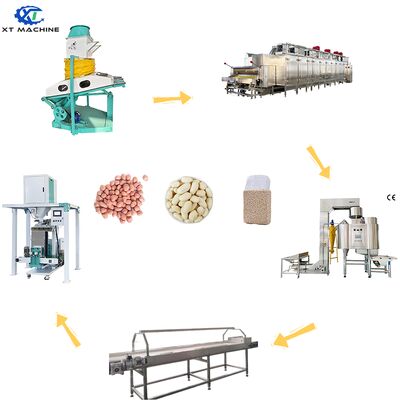 Good price 400-600kg/h SUS304 Peanut Blanching Machine with 95-97% Peeling Rate for Blanched Peanut Production Line online
