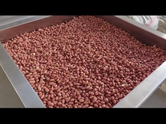 Blanched peanut processing plant/Remove red skin by air
