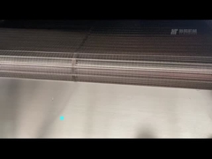 Continuous Belt type oven 300kg/h Electric Heating Nut Roaster Equipment with Air Cooling