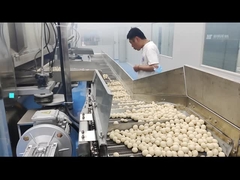 Electric Coated Peanut Swing Oven Coated Peanut Roastr 100KG/h