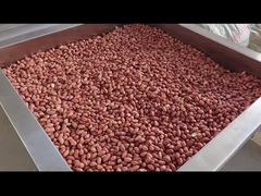 PLC Control Continuous Nuts Oven Continuous Nuts Roaster Dryer/Roaster