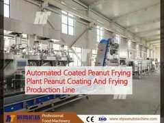 Automated Coated Peanut Frying Plant Peanut Coating And Frying Production Line