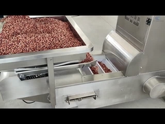 Z Type Elevator Conveyor 