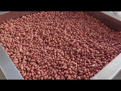 Blanched Peanut Processing Plant