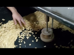 Automatic Peanut Coating Machine