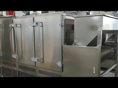 Continuous Nuts Roaster