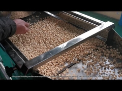 Peanut Blanching Machine