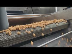 Nuts Continuous Frying Machine