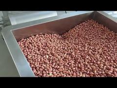 Blanched Peanut Production Line