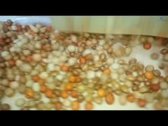 Coating and Roasting Production Line