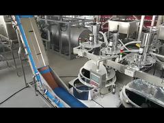 Frying Coated Peanut Production Line