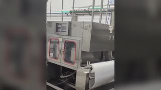 Nut coating and frying equipment