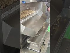 Continuous Hawaiian nut/Peanut oven/Large Belt-type Roaster/Full automatic nut baking machine