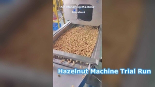 Hazelnut machine trial run video is here! The perfect choice for food processing plants. #machine