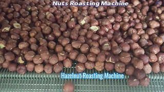 The video of roasting hazelnuts is here!!! The temperature is adjustable at any time#machine #roast
