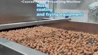 coated frying production line