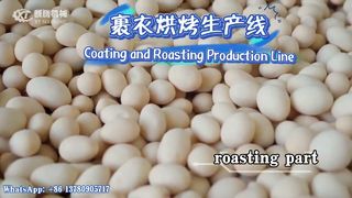 coated peanut burger making machine/production line#peanut#productionline#machine#coating#roaster
