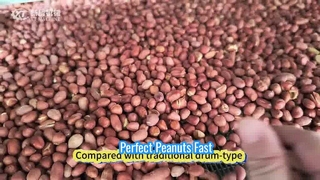 How to make perfect roasted peanut—300kg/h#machine #food #peanut #factory#roaster