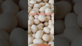 How to Make Fish Skin Peanut | Hot Air Swing Roaster Oven #baked #roasting # #processing #peanut