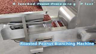 roasted peanut blanched machine
