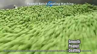 batch peanut coating machine