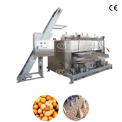 50-100kg/h Nut Swing Roaster Machine with PLC Control
