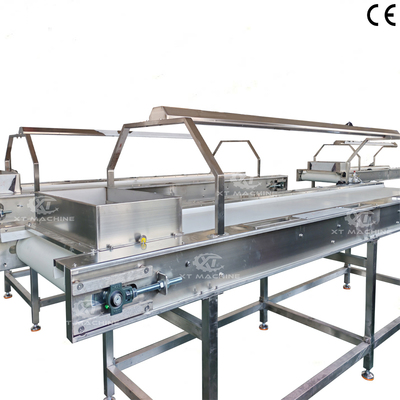 SUS304 Food Grade Automatic Conveyor Belt for Food Processing Plants