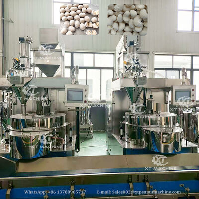 Full Automatic SUS304 Peanut Coating and Frying Production Line with 500-1000kg/h For Nut Processing Plants