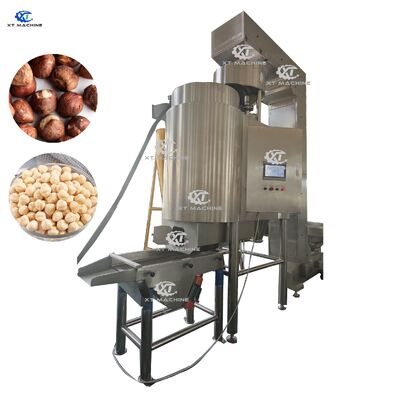 Good price 500-600kg/h High Output Peanut/Pistachio/Hazelnut Blanching Machine with PLC Control and SUS304 Material online