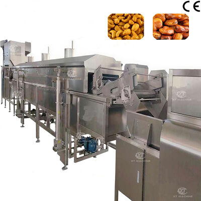 Large Capacity High Efficiency Automatic Nuts Continuous Frying Machine With CE Certification