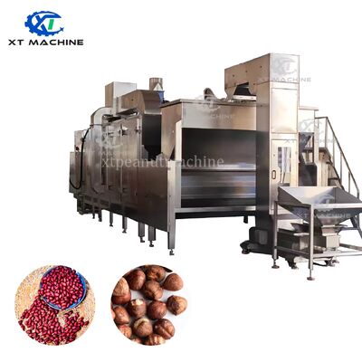 304 Stainless Steel Continuous Belt Nut Roaster with PLC Control and 3000kg/h Capacity for Peanut/Seed/Almond/Cashew Roasting