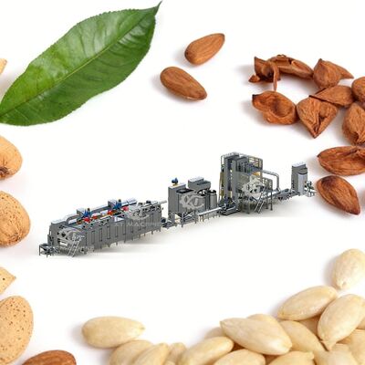 400-600kg/h Peanut Blanching Machine with 95-97% Peeling Rate and SUS304 Material for Blanched Peanut Production Line