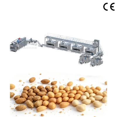 Customized Nut Coating Roasting Production Line Complete Coated Peanut Making Line For Snack Food Factory